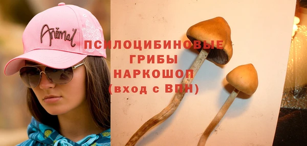 хмурый Алексеевка
