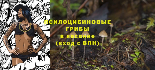 хмурый Алексеевка