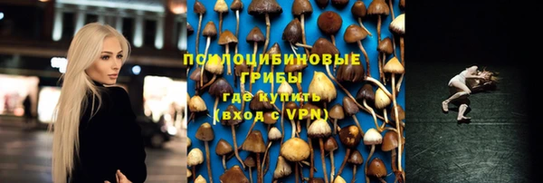 сатива Алексин