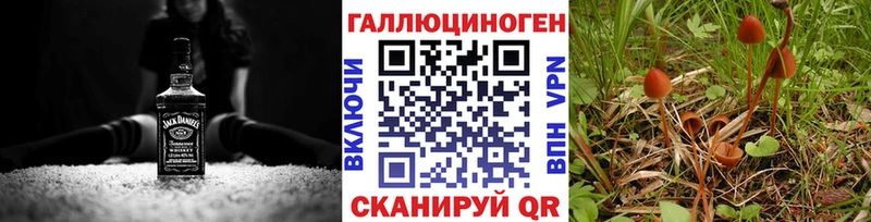 Псилоцибиновые грибы ЛСД  мега онион  Геленджик  даркнет сайт 